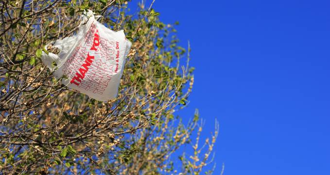 Plastic bags